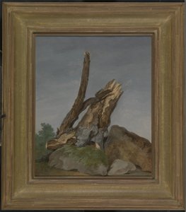 Study of Rocks and Branches by George Augustus Wallis