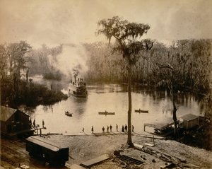 Stern-Wheeler Arriving at Silver Springs, Florida, After an Overnight Run Up the St. John