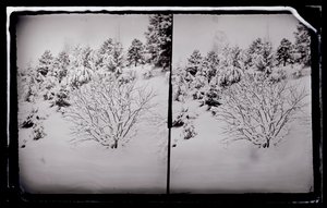 Prospect Park, Brooklyn