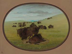 A Buffalo Wallow by George Catlin