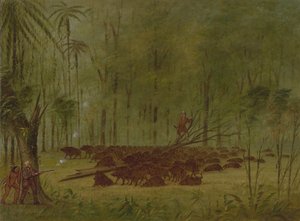 A Fight with Peccaries - Caribbe, 1854-1869 by George Catlin