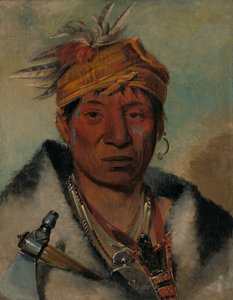 Ah-yaw-né-tak-oá-ron a Warrior by George Catlin