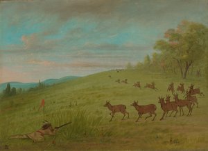 Antelope Shooting - Assinneboine, 1861-1869 by George Catlin