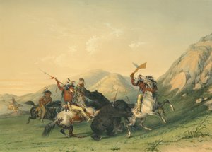 Attacking the Grizzly Bear