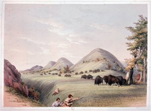 Bison Hunt by George Catlin