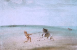 Breaking Down the Wild Horse by George Catlin