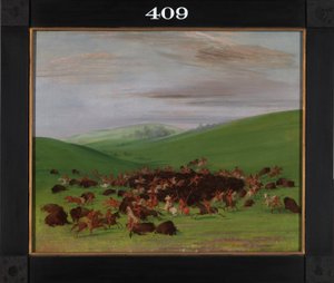 Buffalo Chase, a Surround by the Hidatsa