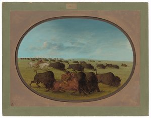 Buffalo Chase, with Accidents by George Catlin