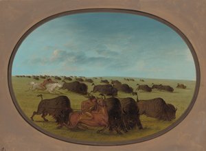 Buffalo Chase, with Accidents by George Catlin