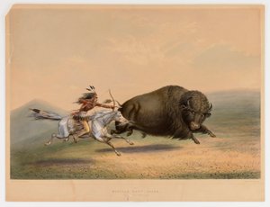 Buffalo Hunt, Chase--no. 5