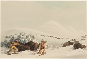Buffalo Hunt, On Snow Shoes by George Catlin