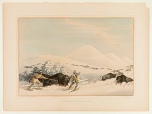 Buffalo Hunt on Snowshoes