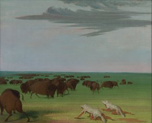Buffalo Hunt under the Wolf-skin Mask, 1832-1833 by George Catlin