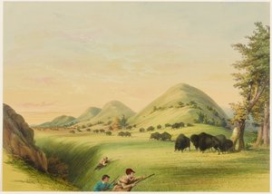 Buffalo Hunt, Approaching in a Ravine by George Catlin