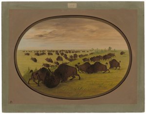 Bulls Fighting by George Catlin