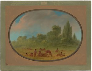 Caddoe Indians Gathering Wild Strawberries by George Catlin