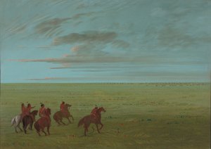 Connibos Starting for Wild Horses