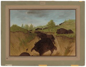 Grizzly Bears Attacking Buffalo by George Catlin