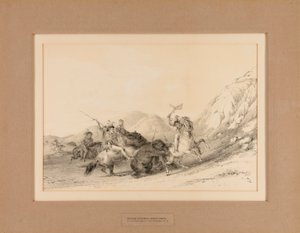 Indians Attacking Grizzly Bears--no. 19 by George Catlin