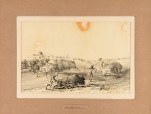 Indians Hunting Buffalo--no. 7 by George Catlin