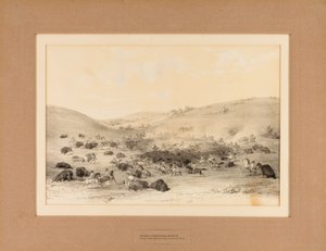 Indians Surrounding Buffalo--no. 9 by George Catlin