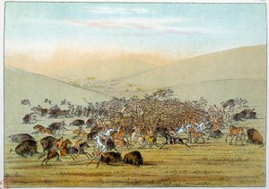 Indians of America: Indian miniatarees hunting buffalo with spears. Illustration by George Catlin by George Catlin