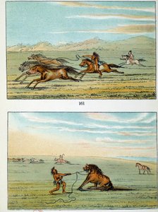 Indians of America: How to Catch Wild Horses. Illustration by George Catlin by George Catlin