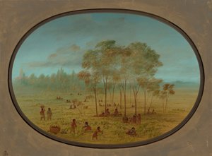 Kiowa Indians Gathering Wild Grapes by George Catlin