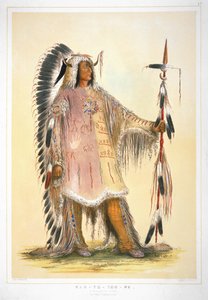Mah-to-toh-pa, The Mandan Chief by George Catlin