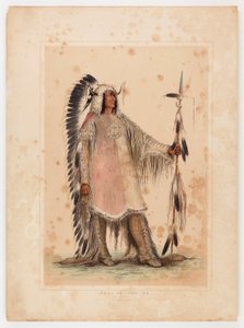 Mah-to-toh-pa, the Mandan Chief by George Catlin