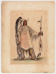 Mah-to-toh-pa, the Mandan Chief by George Catlin