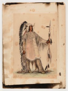 Mah-to-toh-pa, the Mandan Chief