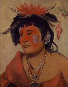 Pah-shee-náu-shaw, a Warrior by George Catlin