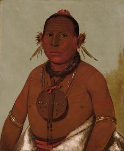 Wa-sáw-me-saw, Roaring Thunder, Youngest Son of Black Hawk