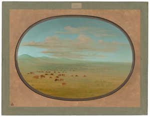 Wild Cattle Grazing on the Pampa del Sacramento by George Catlin