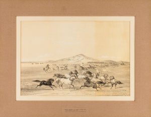 Wild Horses at Play--no. 3