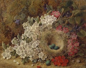 A birds nest and blossom on a mossy bank by George Clare