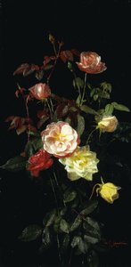 Roses