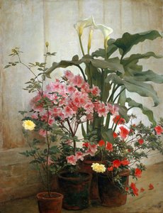 Side of a Greenhouse, 1870-80