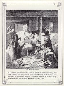 Illustration for The Bachelor