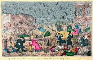 Very Unpleasant Weather, or the Old Saying verified Raining Cats, Dogs and Pitchforks!