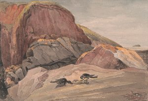 Near Weston-Super-Mare with Steep Holme Island