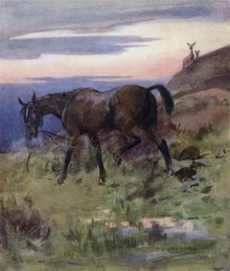 Illustration for The Story of a Red Deer by George Denholm Armour