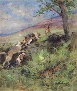 Illustration for The Story of a Red Deer by George Denholm Armour