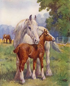 A proud mother
