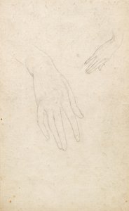 Study of Hands by George Dutch Davidson