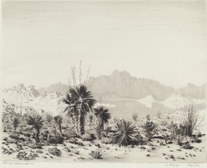 A Mirage, Arizona