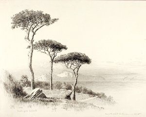 Capri from Sorrento by George Elbert Burr