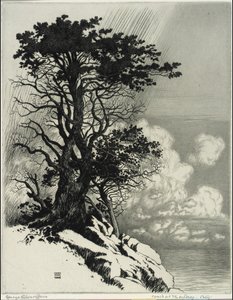 Coast at Monterey, California