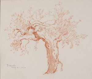 Fiesole by George Elbert Burr